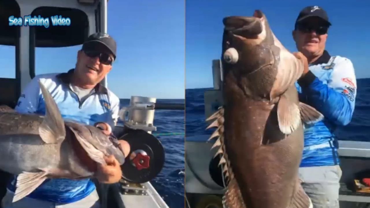 Big fish fishing new technology ice fishing fly fishing jetty fishing