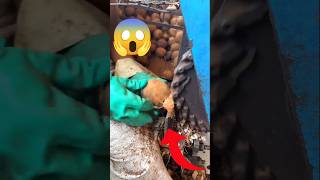 Nariyal Se Bana Anokha Cheez 😱🤔 #making #coconut #sweet #factory #shortvideo