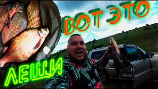 видео: Вот это лещи! Рыбалка на фидер летом на реке Дон в Липецкой области. картинка: Вот это лещи! Рыбалка на фидер летом на реке Дон в Липецкой области.