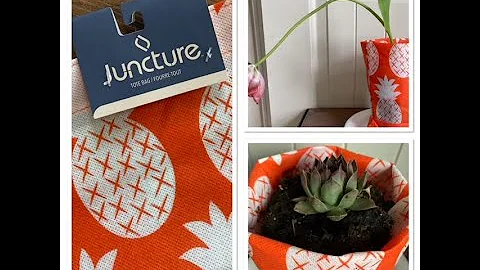 DOLLAR TREE 2 FOR $1 Festive Planters