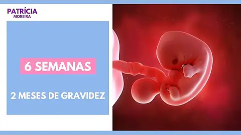 Como é um bebê de 6 semanas?