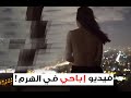 فضيحة شاب دنماركى هوا وصديقته على هرم خوفو الأكبر(+١٨