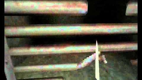 Half-life - Afraid of Monsters Director