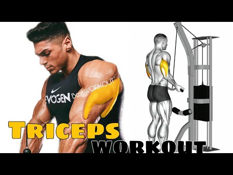 Видео: Дасгалын машингүйгээр Triceps хэрхэн бүтээх вэ