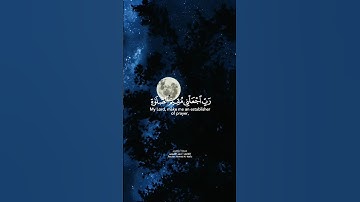 القران الكريم _ سورة أبراهيم _ احمد النفيس