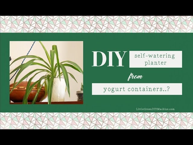 DIY self-watering planter from yogurt containers? 