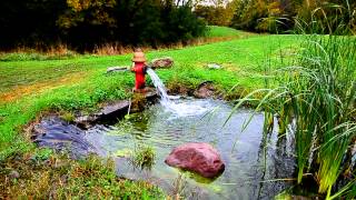 Fire Hydrant water garden