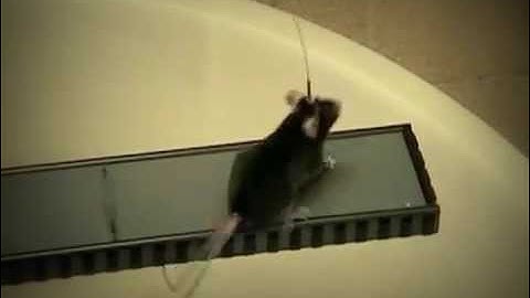 NeuroPak: monitor brain function on a freely-moving mouse