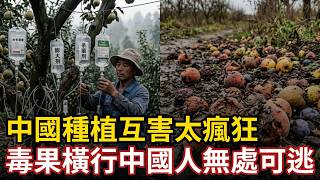 Driven by greed, no moral compass is left intact – stay away! The insane crop-planting practices ...