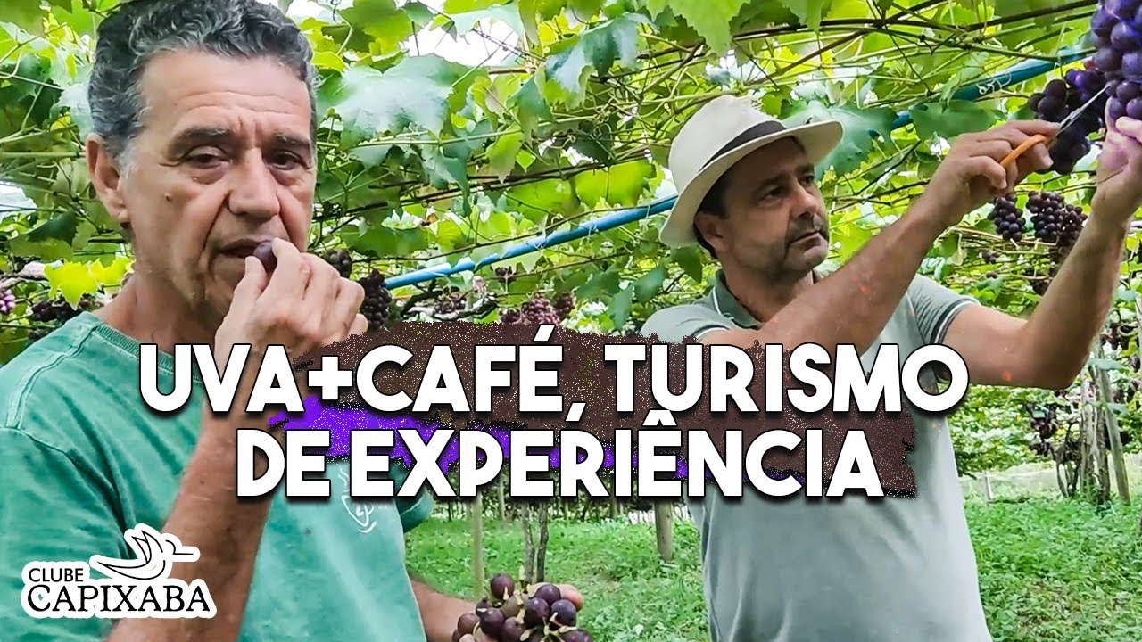 Colha sua uva e tome café especial. Novas tendências do agroturismo de