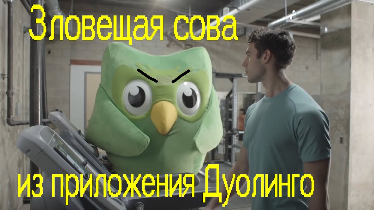 ДУОЛИНГО Обзор Нового мема Зловещая Сова - YouTube