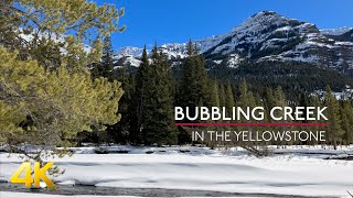 4K  Creek in the Yellowstone  Bubbling Water  Live Sounds  Snow