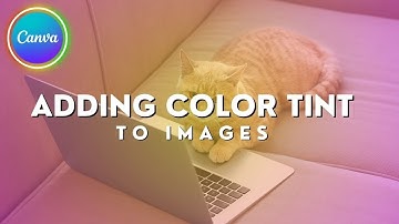 Mastering Color Tint: 2 Methods to Enhance Images in Canva