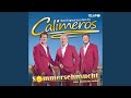 Miniature de la vidéo de la chanson Traumschiffliebe