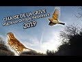 CHASSE de la GRIVE au POSTE à la passée / Début MIGRATION 2019