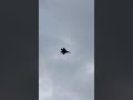 FreeWing F-22 Raptor 70mm backflips over it self