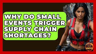 Why Do Small Events Trigger Supply Chain Shortages? - Man vs. Disaster Profile