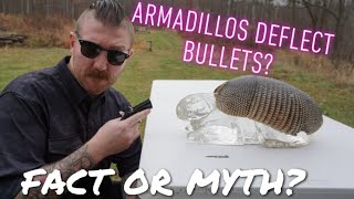 Are Armadillos REALLY able to deflect bullets? Let's find out!