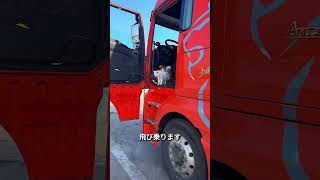 全てのドライブに参加する猫たち