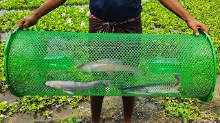 How To Make A Simple Fish Trap-Use Plastic Net Plastic Basket Plastic Bottle At Home & Catch Fish