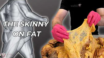 What Fat REALLY Does in Your Body (It’s Not What You Think)
