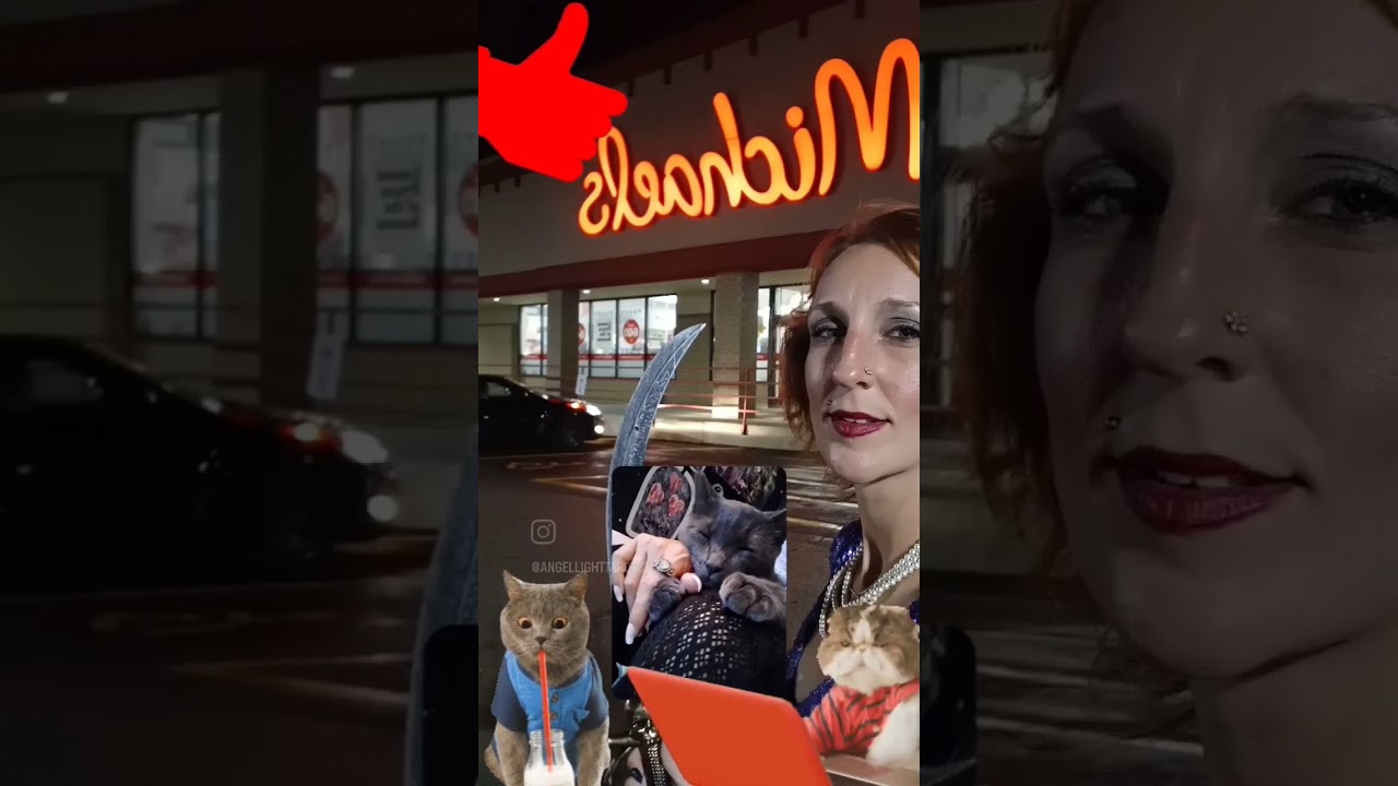 ‪@AaronsAnimals‬