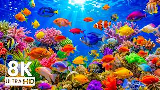 Tropical Ocean Fish, Coral Reefs — Discover Marine Life in The Ultimate 8K UHD Aquarium #2