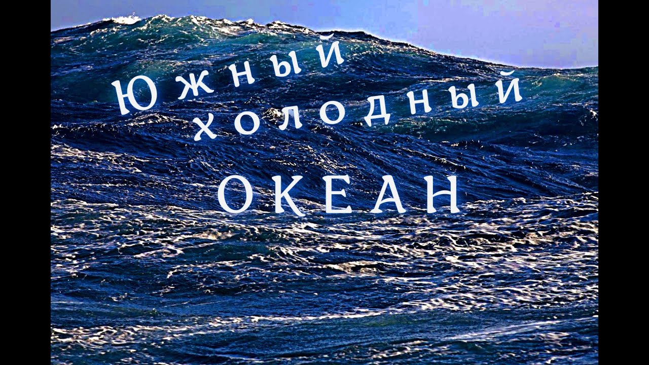 Холодно океан текст. Дискавери океан Казань.