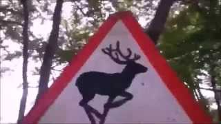 colundi unattributed