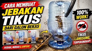 Cara membuat perangkap tikus dari galon 