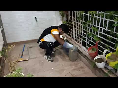 8264724468 snake rescue Zirakpur Mohali call me anytime