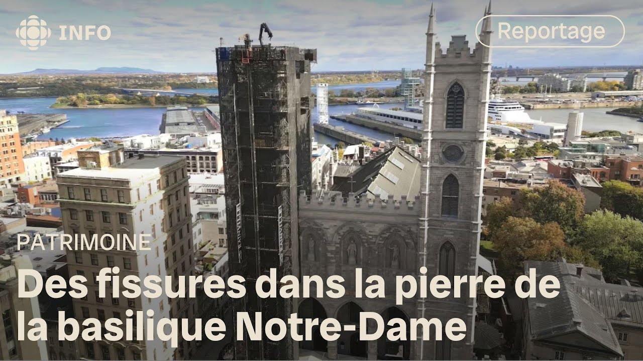 Basilique Notre-Dame : quand la pierre craque | Découverte