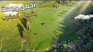 سحر الطبيعة من منبسط مرج الخيل | منتزه بوهاشم شمال المغرب 🇲🇦