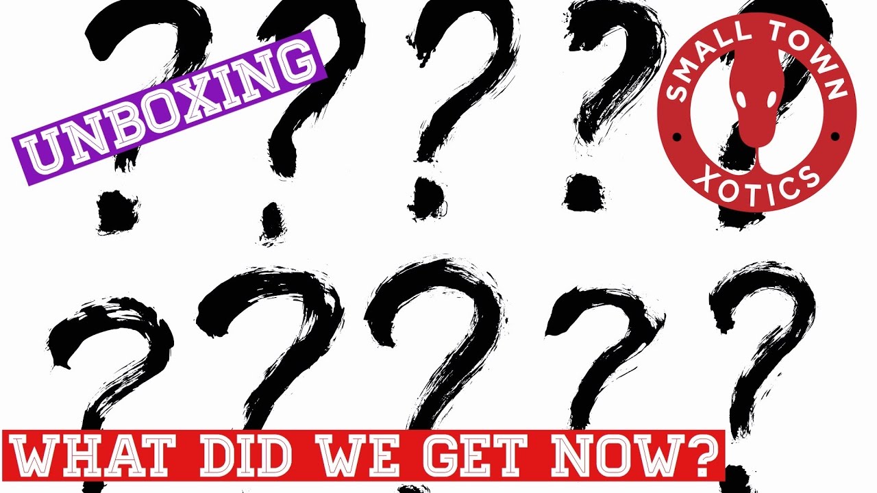 Freedom Breeder Unboxing! Snake Update! COVID-19 Activities