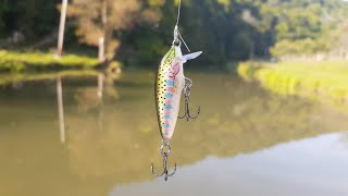 The Best CREEK & RIVER Lure for REACTION STRIKES!