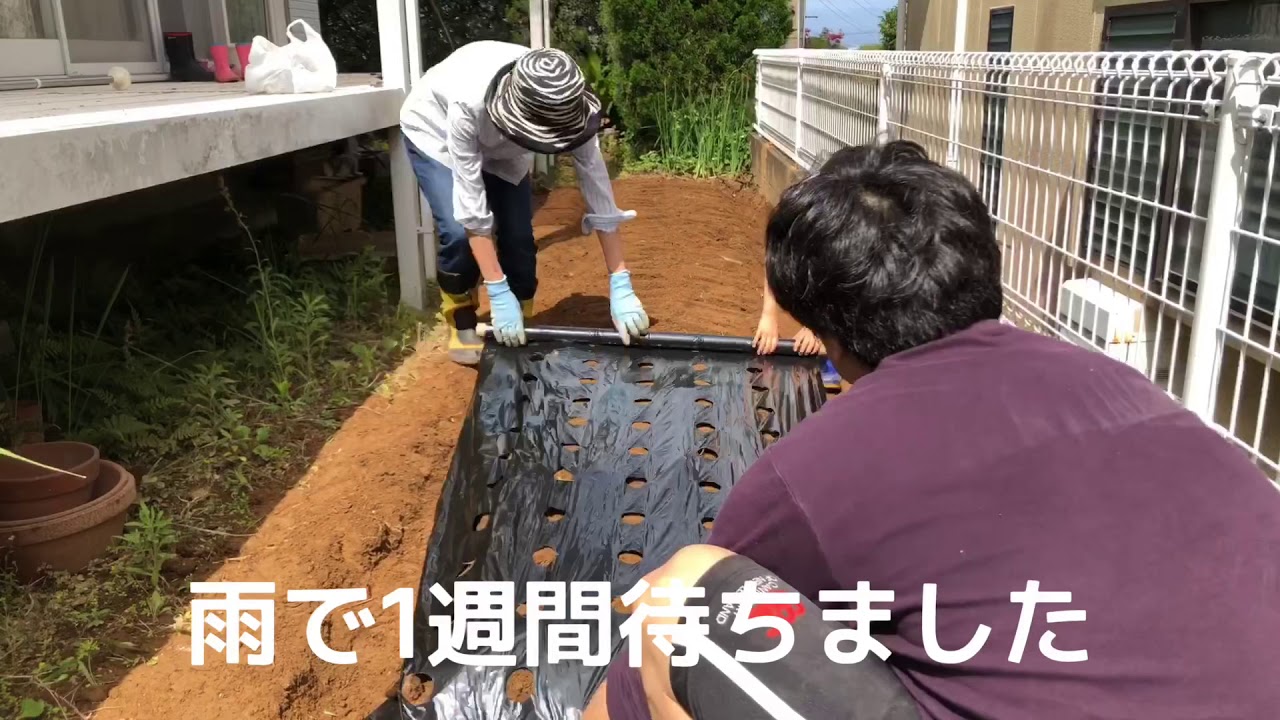 狭い庭に畑を作ってみる 2 家庭菜園 庭 畑 Youtube 狭い庭に畑を作ってみる 2 家庭菜園 庭 畑 Youtube