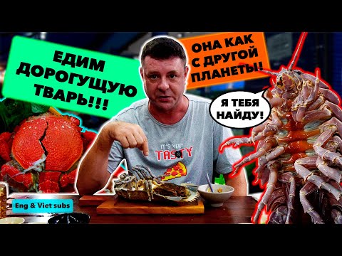 Review of Quán Nhậu Hải Sản. Expensive and unknown sea creatures from the aquarium!