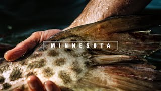 Minnesota MUSKIE Fishing June 2020 - TRAILER