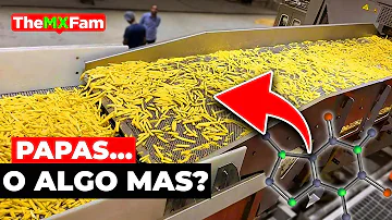 ¿Qué sustancia química contienen las patatas fritas de McDonald's?