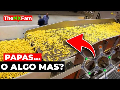 Cuantas Calorias Tienen Las Papas Fritas De Mcdonalds