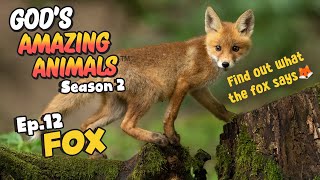 Fun Facts for Kids about Foxes | God's Amazing Animals (S2 Ep12)