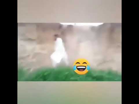 Fanny commeady video வாங்க சிரிக்கலாம் part3#like#reeels#shorts#lugeyps3#gpmuthu#cobra#organicfruits