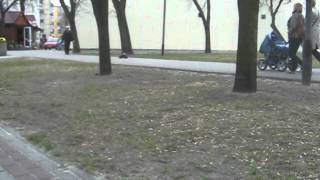 Obraz 003.avi