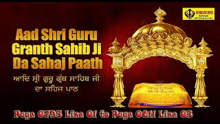 SRI AKHAND PATH | Part 55 (Page 0795 Line 01 to Page 0811 Line 03)