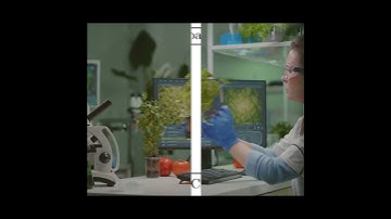 Detecting Plant Diseases with Artificial Intelligence