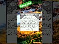 سوره الناس تلاوه زیبا القاری سید نوید هاشمی 