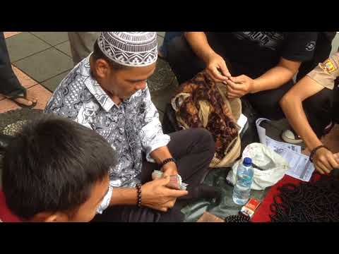KAYU AKAR BAHAR EMAS 1. 