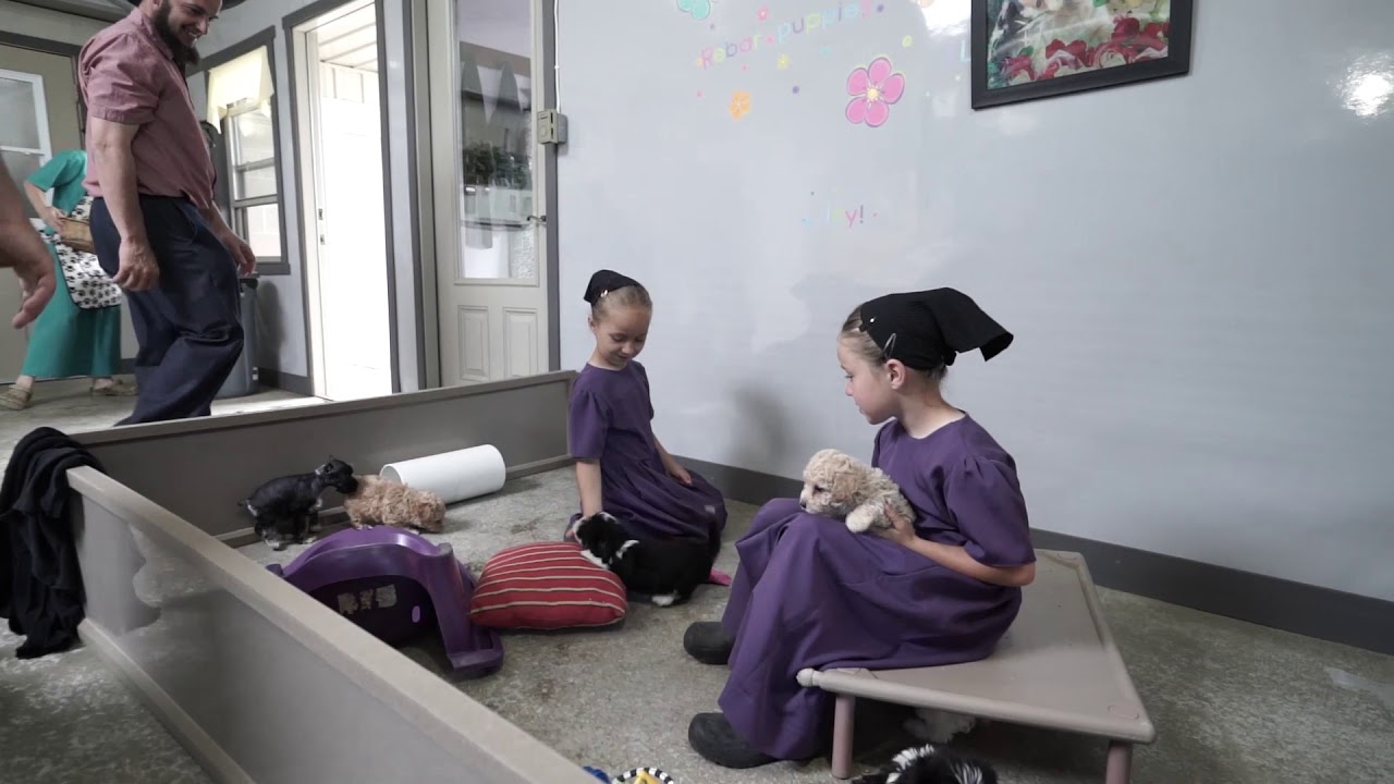 Meet Real Petland Breeders: Freeman Raber