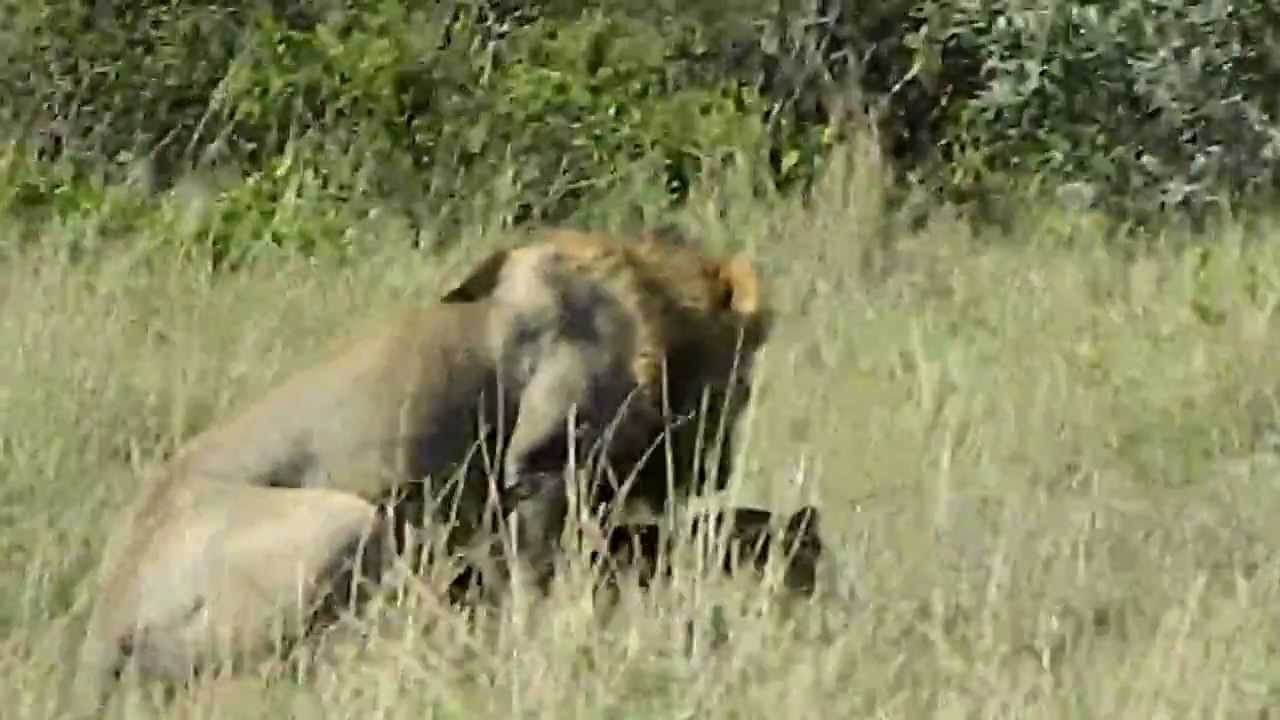 Sexは回数か 時間か それとも愛か Bacchusを捜して 世界一周跡