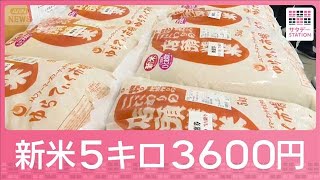 “日本一早い新米”販売開始「5キロ税込み3600円」来年は更なるコメ余り懸念も【サタデーステーション】(2026年6月6日)
